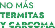 No más termitas y carcoma