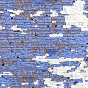 madera azul con carcoma