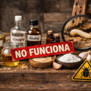 Productos caseros ineficaces contra la carcoma que no eliminan la infestación en madera