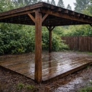 Efecto de la lluvia en las plagas de la madera como termitas y carcoma